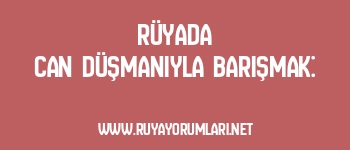 Rüyada Can Düşmanıyla Barışmak: