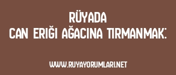 Rüyada Can Eriği Ağacına Tırmanmak: