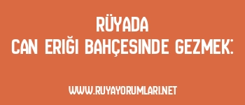 Rüyada Can Eriği Bahçesinde Gezmek: