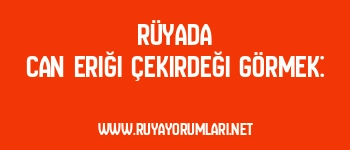 Rüyada Can Eriği Çekirdeği Görmek: