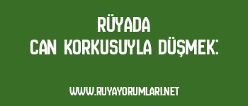 Rüyada Can Korkusuyla Düşmek: