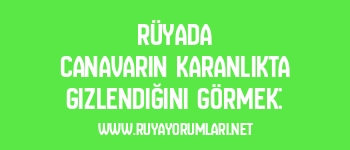 Rüyada Canavarın Karanlıkta Gizlendiğini Görmek: