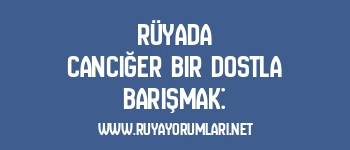 Rüyada Canciğer Bir Dostla Barışmak: