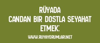 Rüyada Candan Bir Dostla Seyahat Etmek: