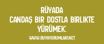 Rüyada Candaş Bir Dostla Birlikte Yürümek: