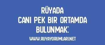 Rüyada Canı Pek Bir Ortamda Bulunmak: