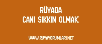 Rüyada Canı Sıkkın Olmak: