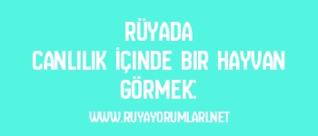 Rüyada Canlılık İçinde Bir Hayvan Görmek: