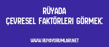 Rüyada Çevresel Faktörleri Görmek: