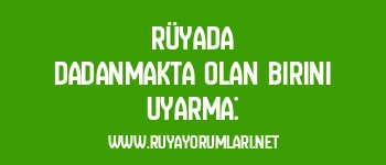 Rüyada Dadanmakta Olan Birini Uyarma: