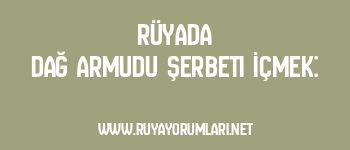 Rüyada Dağ Armudu Şerbeti İçmek: