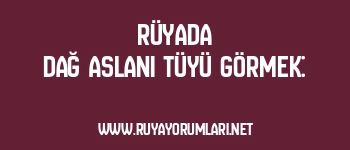 Rüyada Dağ Aslanı Tüyü Görmek: