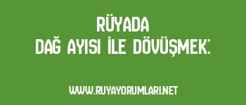 Rüyada Dağ Ayısı İle Dövüşmek: