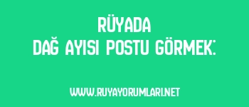 Rüyada Dağ Ayısı Postu Görmek: