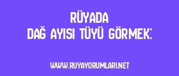 Rüyada Dağ Ayısı Tüyü Görmek: