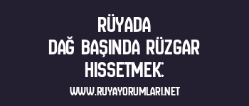 Rüyada Dağ Başında Rüzgar Hissetmek: