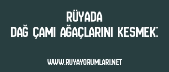 Rüyada Dağ Çamı Ağaçlarını Kesmek:
