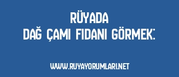Rüyada Dağ Çamı Fidanı Görmek: