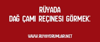 Rüyada Dağ Çamı Reçinesi Görmek: