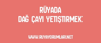 Rüyada Dağ Çayı Yetiştirmek:
