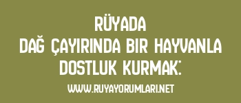 Rüyada Dağ Çayırında Bir Hayvanla Dostluk Kurmak: