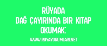 Rüyada Dağ Çayırında Bir Kitap Okumak: