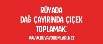 Rüyada Dağ Çayırında Çiçek Toplamak: