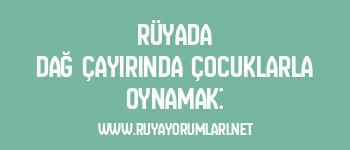 Rüyada Dağ Çayırında Çocuklarla Oynamak: