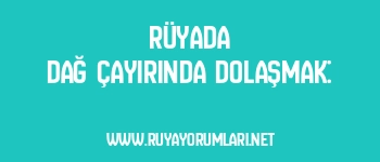 Rüyada Dağ Çayırında Dolaşmak: