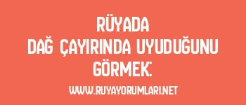 Rüyada Dağ Çayırında Uyuduğunu Görmek: