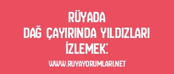 Rüyada Dağ Çayırında Yıldızları İzlemek: