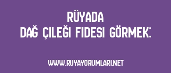 Rüyada Dağ Çileği Fidesi Görmek: