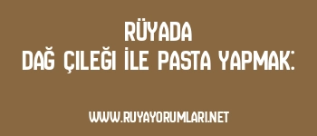 Rüyada Dağ Çileği İle Pasta Yapmak: