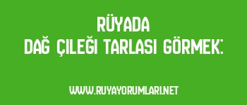 Rüyada Dağ Çileği Tarlası Görmek: