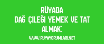 Rüyada Dağ Çileği Yemek ve Tat Almak: