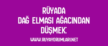 Rüyada Dağ Elması Ağacından Düşmek: