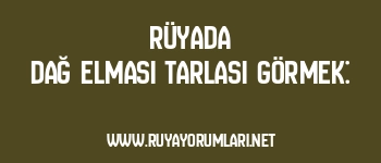 Rüyada Dağ Elması Tarlası Görmek: