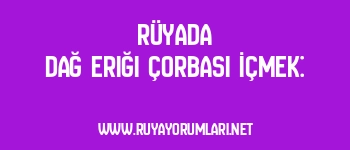 Rüyada Dağ Eriği Çorbası İçmek: