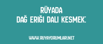 Rüyada Dağ Eriği Dalı Kesmek: