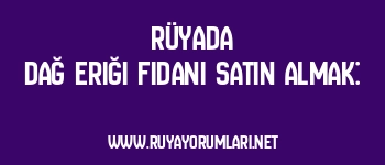 Rüyada Dağ Eriği Fidanı Satın Almak:
