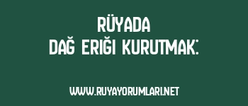 Rüyada Dağ Eriği Kurutmak: