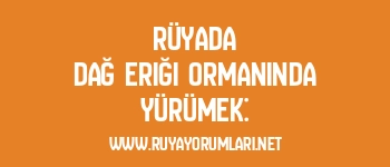 Rüyada Dağ Eriği Ormanında Yürümek: