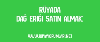 Rüyada Dağ Eriği Satın Almak: