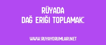 Rüyada Dağ Eriği Toplamak: