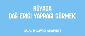 Rüyada Dağ Eriği Yaprağı Görmek: