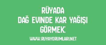Rüyada Dağ Evinde Kar Yağışı Görmek:
