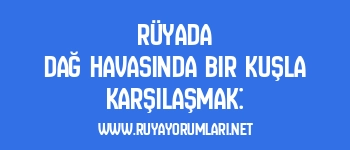 Rüyada Dağ Havasında Bir Kuşla Karşılaşmak: