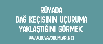 Rüyada Dağ Keçisinin Uçuruma Yaklaştığını Görmek: