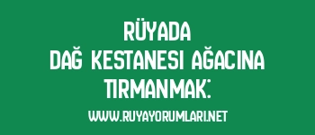 Rüyada Dağ Kestanesi Ağacına Tırmanmak: