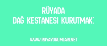 Rüyada Dağ Kestanesi Kurutmak: